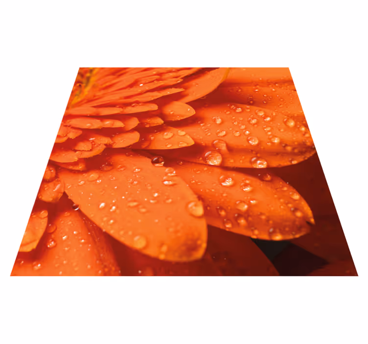 Orange flower in close-up floral rug - TenStickers