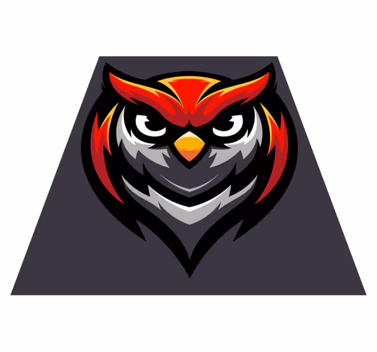 Owl Graphic Bold teenager vinyl rug - TenStickers