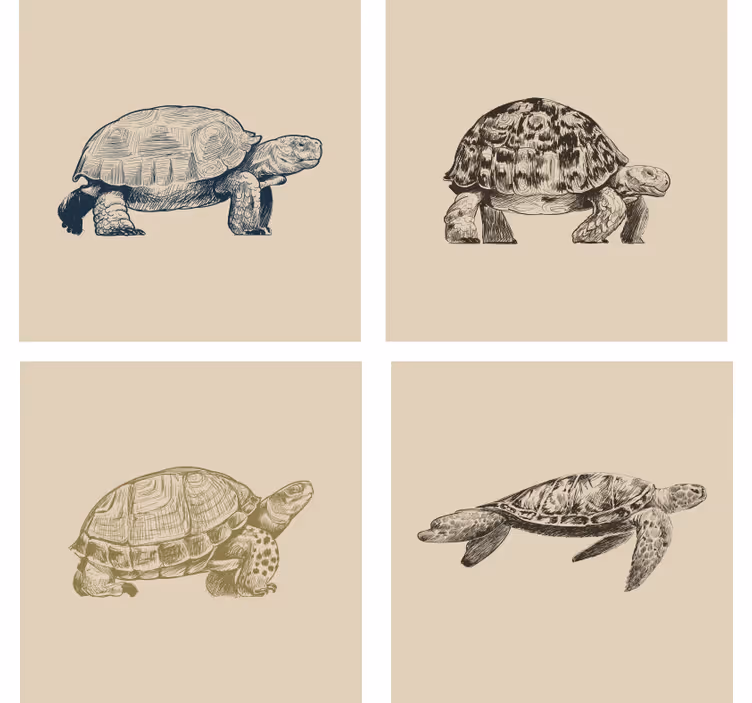 Vintage wallpaper turtles on beige background - TenStickers
