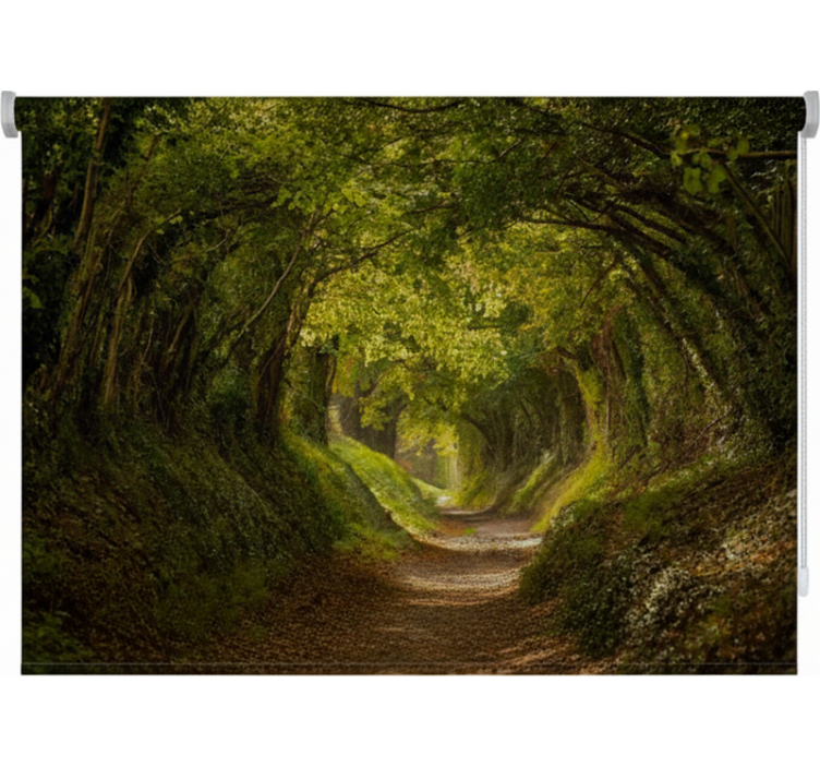 Tree roller blind green path - TenStickers