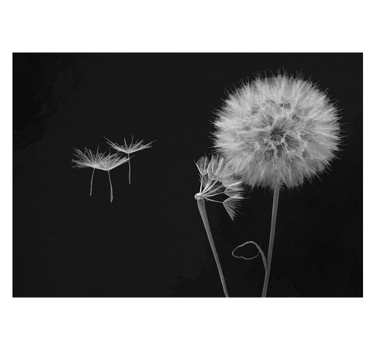 Black roller blind dandelion seed wall mural - TenStickers