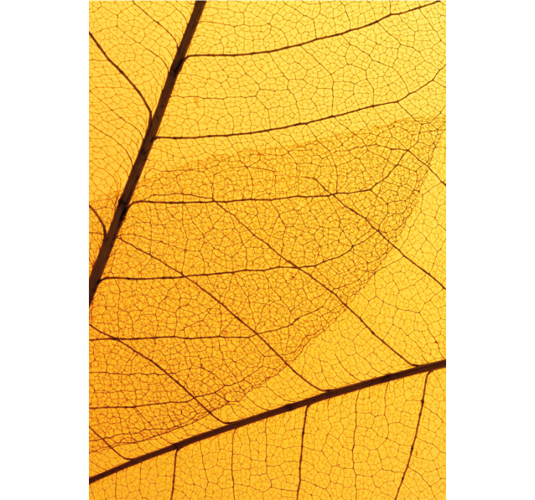 Yellow roller blind with botanical leaf pattern - TenStickers