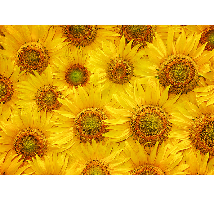 Yellow roller blind with sunflowers design - TenStickers