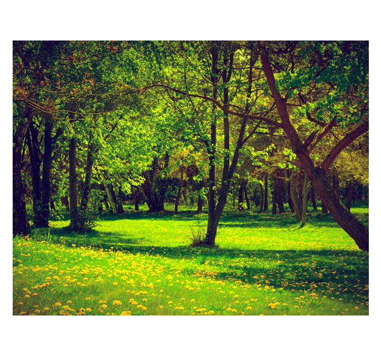Green roller blind with tranquil forest scene - TenStickers
