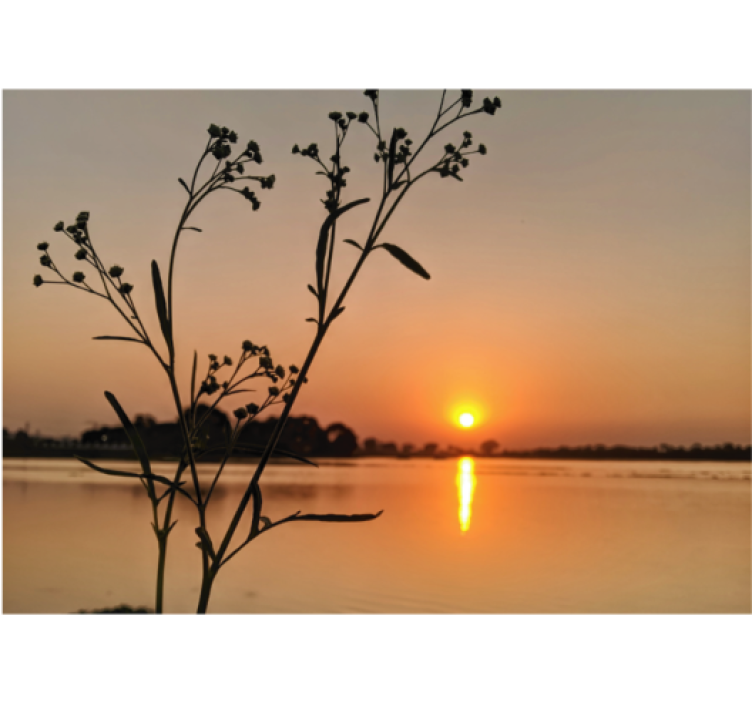 Living room roller blind sunset over the lake - TenStickers