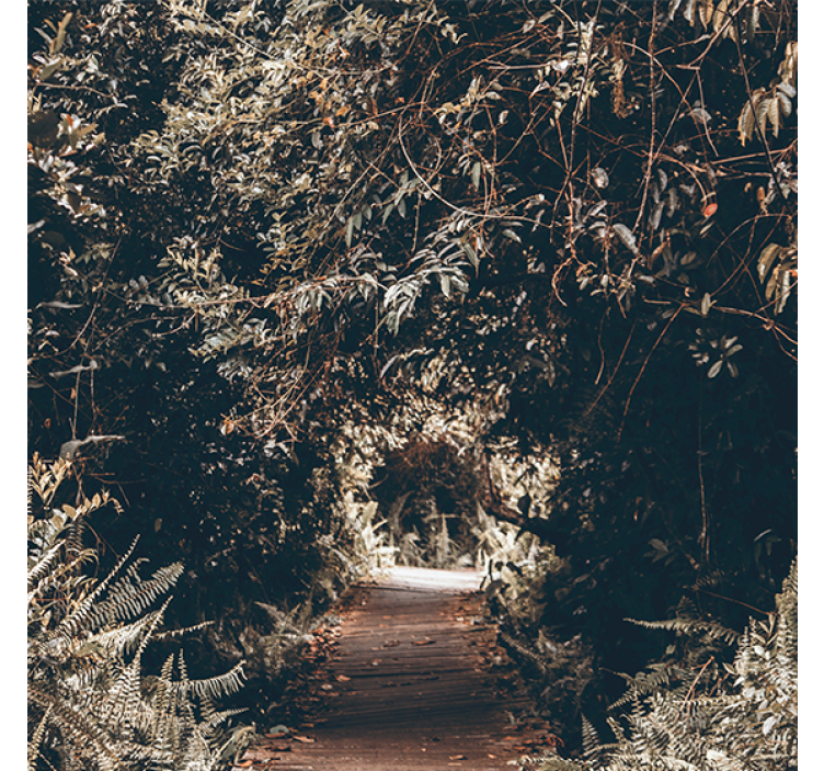 Living room roller blind nature tunnel to the forest - TenStickers