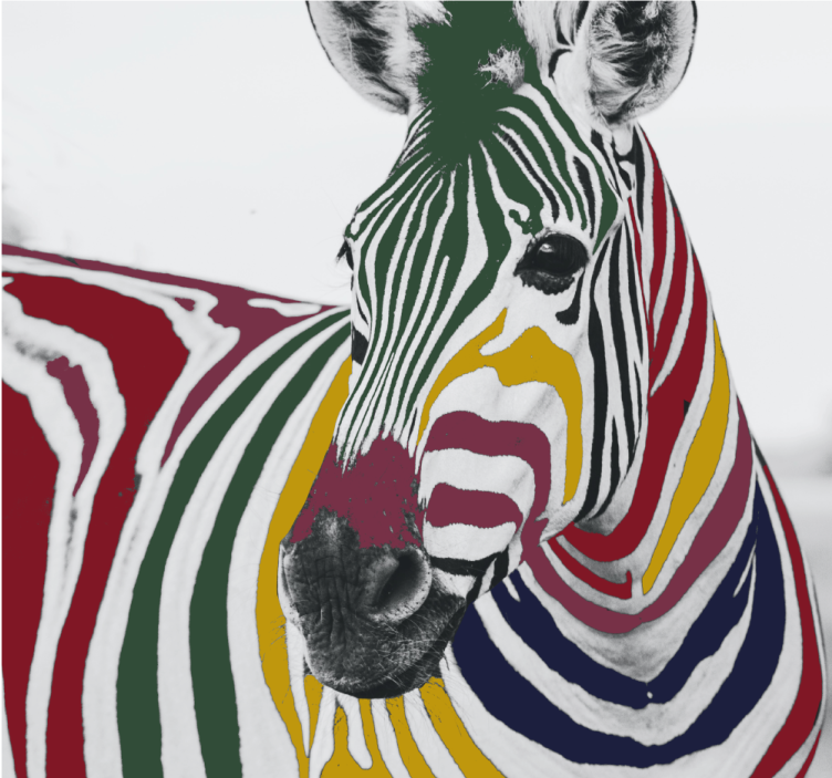 Living room roller blind colorful zebra artwork - TenStickers