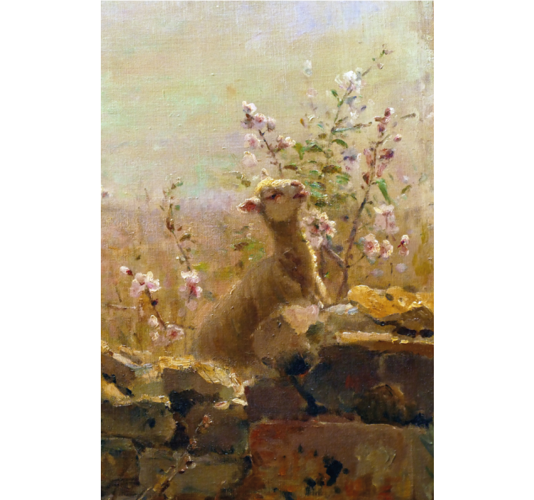 Living room roller blind with funny sheep painting - TenStickers