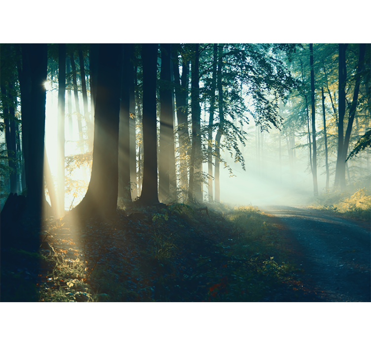 Living room roller blind winter forest scene - TenStickers