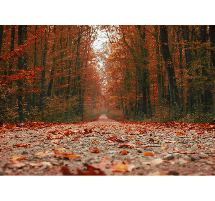 Living room roller blind with beautiful autumn leaves - TenStickers