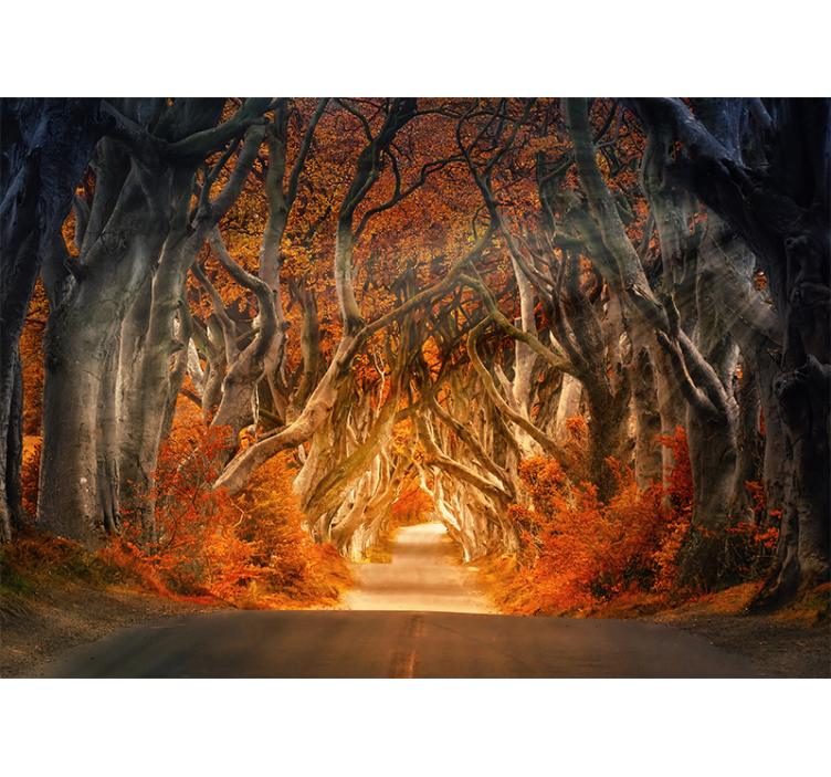 Living room roller blind scenic forest view - TenStickers