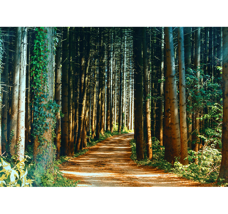 Living room roller blind nature path tree gate - TenStickers