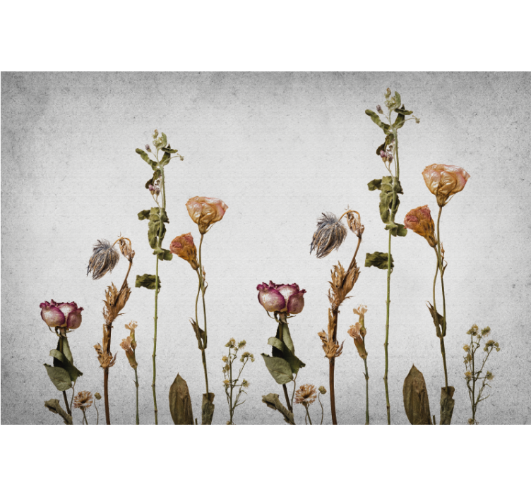 Living room roller blind with scandinavian dry plants - TenStickers