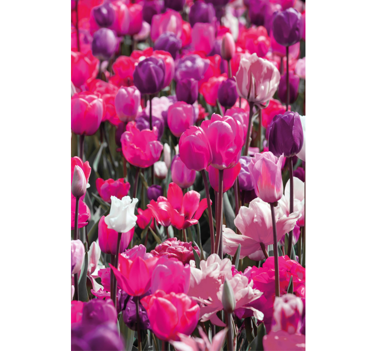 Purple tulip blooms flowers and plants roller blind - TenStickers