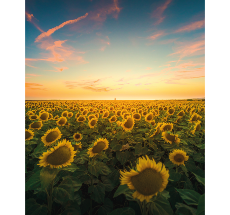 Sunflower Field Sunrise flowers and plants roller blind - TenStickers