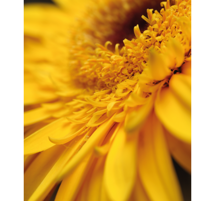 Yellow close-up flowers and plants roller blind - TenStickers