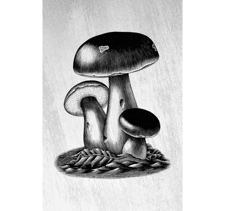 Engraved black mushrooms Kitchen blind - TenStickers