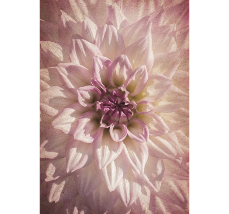 Delicate bloom flowers and plants roller blind - TenStickers