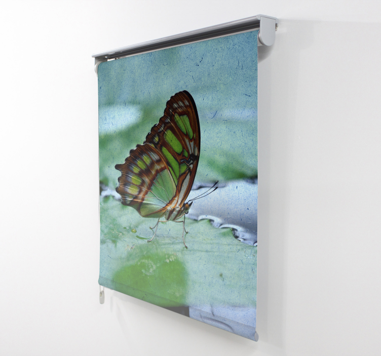 Flying on water Butterfly blind - TenStickers