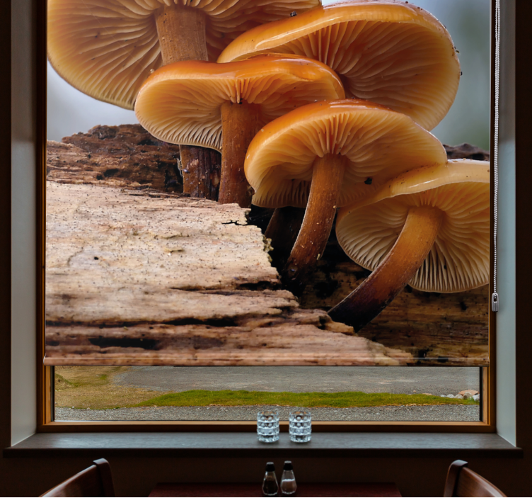 Mushroom Growth flowers and plants roller blind - TenStickers