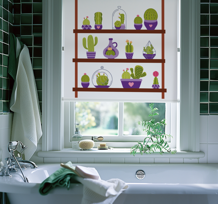 Pots on shelves cactus roller blind - TenStickers