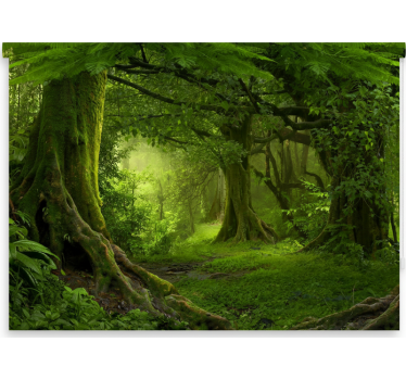 Tree roller blind lush woodland retreat - TenStickers