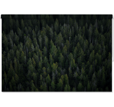 Tree roller blind in deep woodland texture - TenStickers