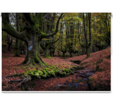 Tree roller blind enchanted autumn forest - TenStickers