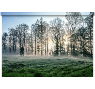 Misty morning meadow tree roller blind - TenStickers