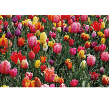 Living room roller blind tulips in a field - TenStickers