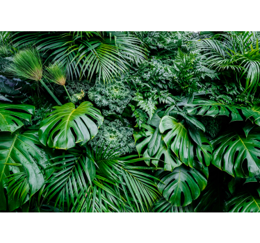 Green roller blind rainy jungle design - TenStickers