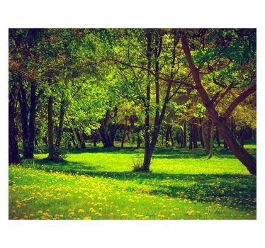 Green roller blind with tranquil forest scene - TenStickers