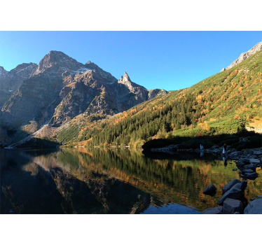 Green roller blind morskie oko in spring - TenStickers