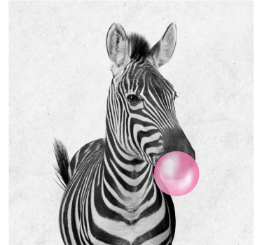 Living room roller blind zebra bubble gum print - TenStickers
