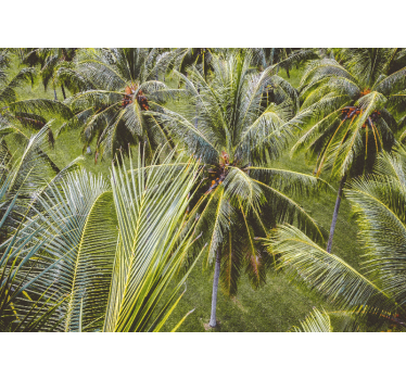 Living room roller blind green palm tree scene - TenStickers