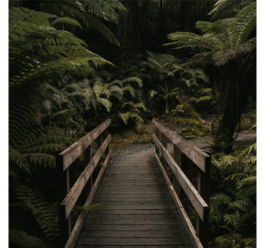Living room roller blind forest bridge nature - TenStickers
