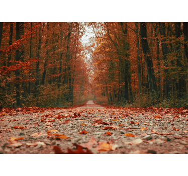 Living room roller blind with beautiful autumn leaves - TenStickers