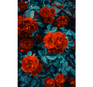 Vibrant Blooming Roses flowers and plants roller blind - TenStickers