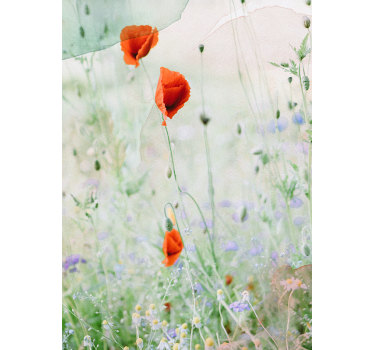 Smudged away red poppies Flower roller blind - TenStickers