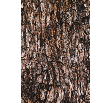 Realistic tree bark Master bedroom window blind - TenStickers