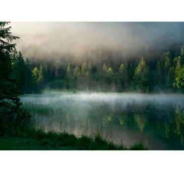 Misty Forest Reflection tree roller blind - TenStickers