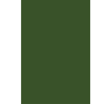 Green minimalist shade opaque roller blind - TenStickers