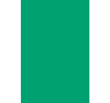 Vibrant Green Accent coloured roller blind - TenStickers
