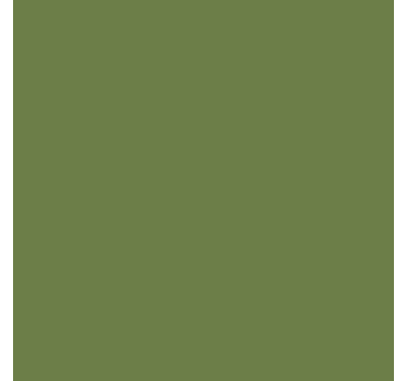 Olive shades green window shade - TenStickers