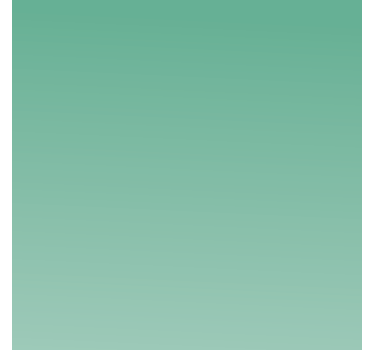 Water shades Green blind - TenStickers