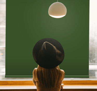 Green minimalist shade opaque roller blind - TenStickers