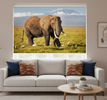 Living room roller blind kilimanjaro elephant - TenStickers