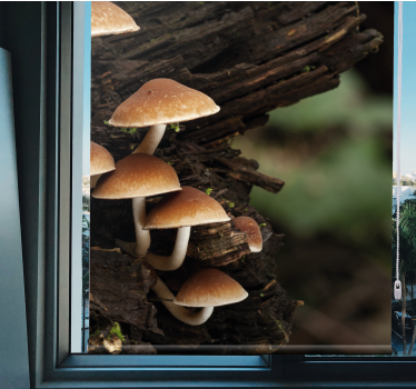 Mushrooms on Wood flowers and plants roller blind - TenStickers