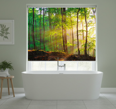 Tree roller blind natural light in forest - TenStickers