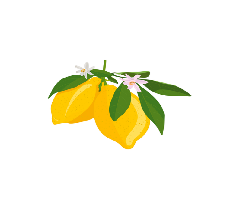 Original placemat lemon branch design - TenStickers
